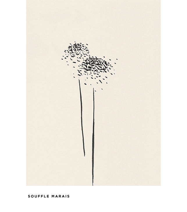 The artist | Massimo Dutti Scents