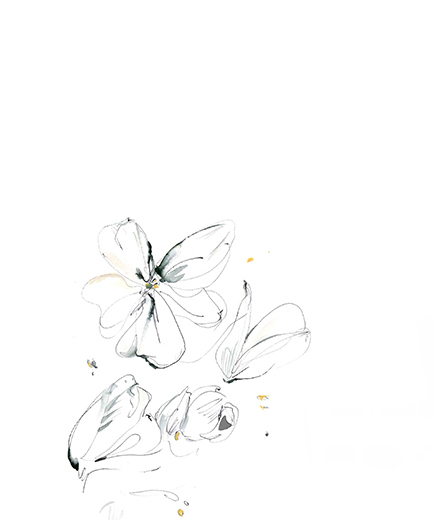 Art for download | Paper by Massimo Dutti