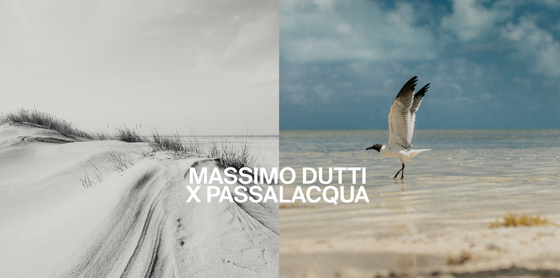 Paper | Massimo Dutti