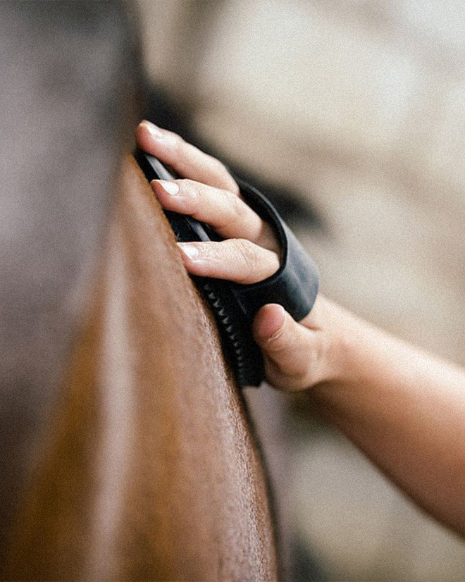 Rutas y paseos a caballo