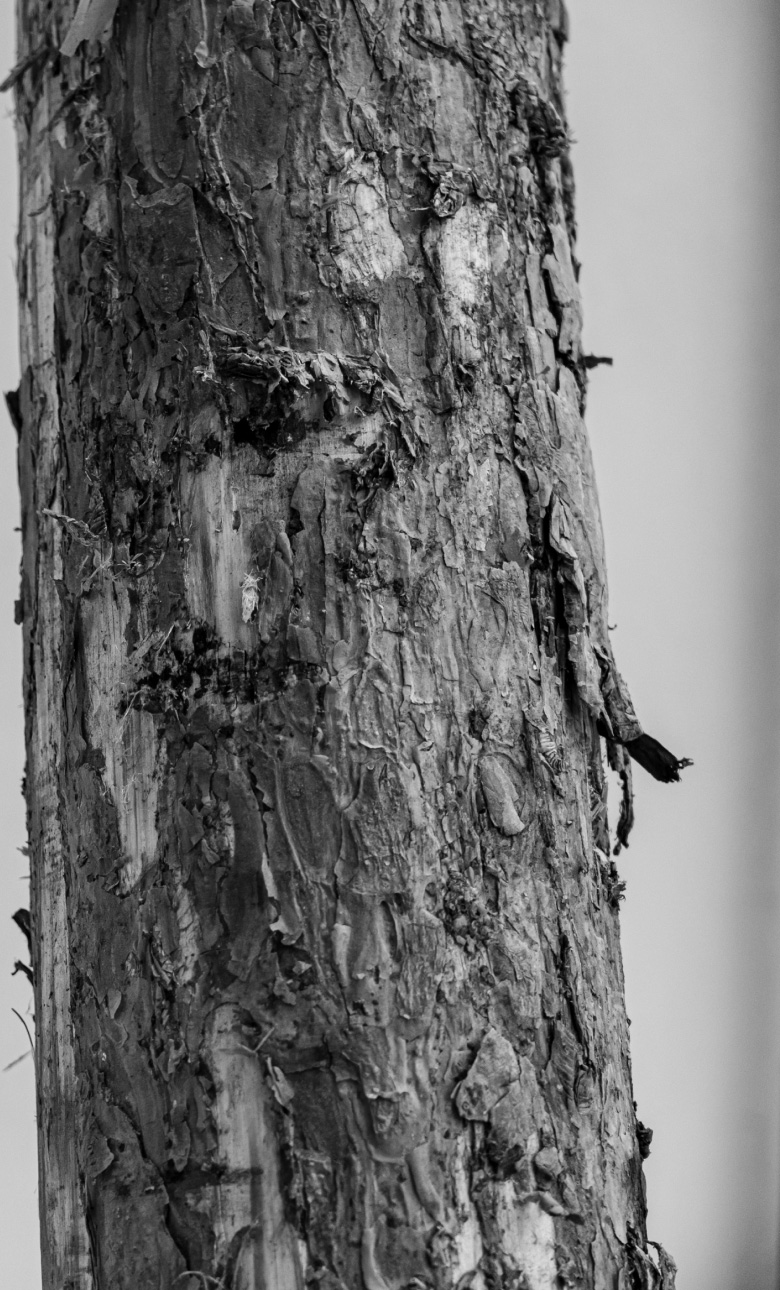 Paper | Massimo Dutti