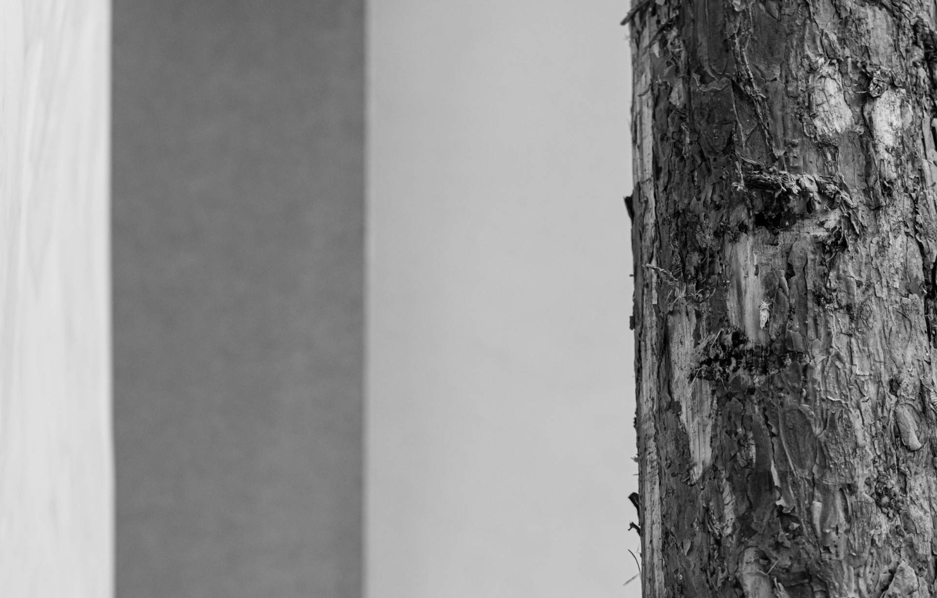 Paper | Massimo Dutti