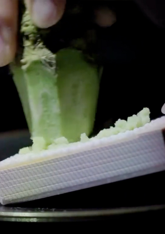 Tree by Naked | Tokyo