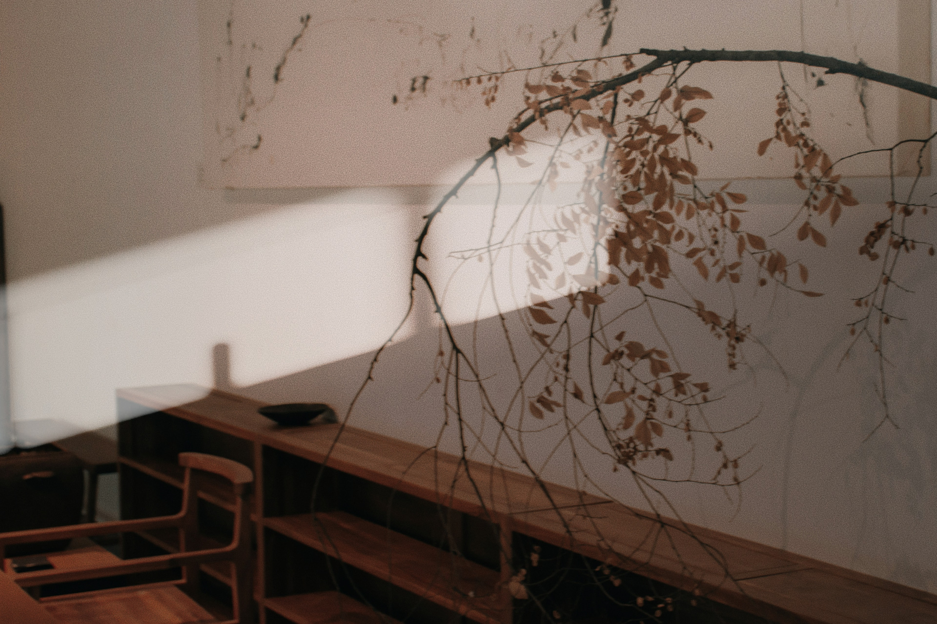 Paper | Massimo Dutti