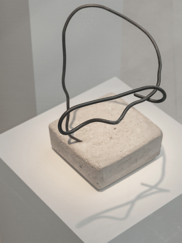 Antonia Ferrer ArtInProgress Massimo Dutti Alicante