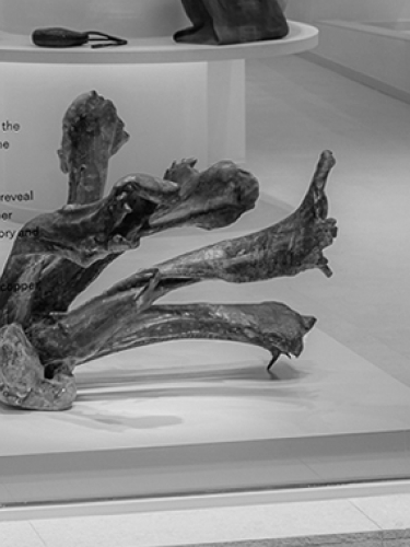 Sofia Salazar Rosales Yoyo Balague ArtInProgress Maastricht