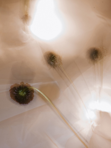 Art Playlist ARCO Madrid