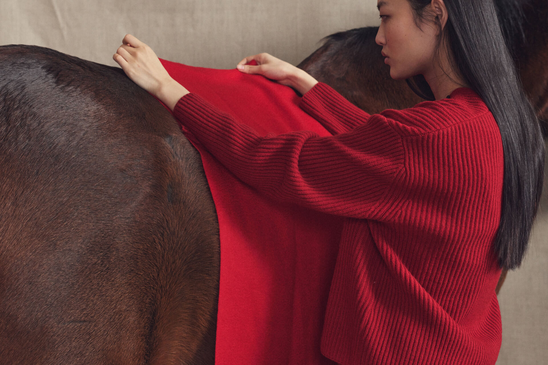 The year of the horse