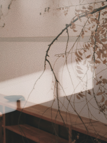 The Order Of Things Playlist Massimo Dutti