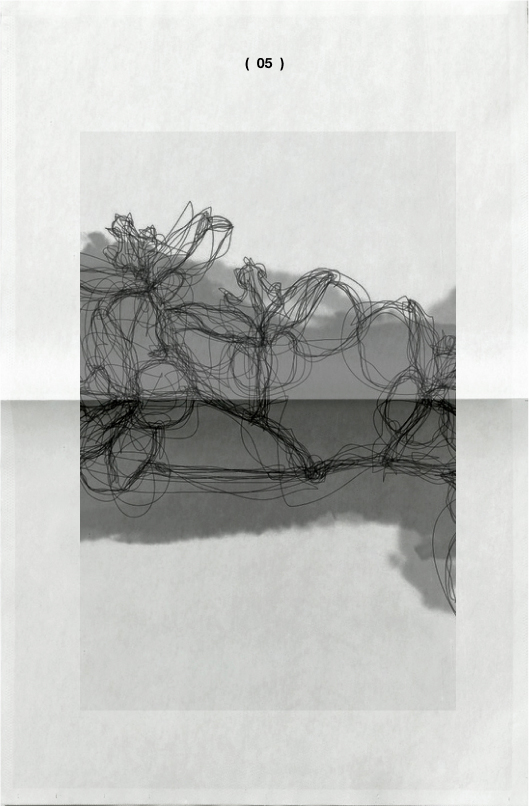 Michel Paysant. Voir Monet – Musée de l’Orangerie