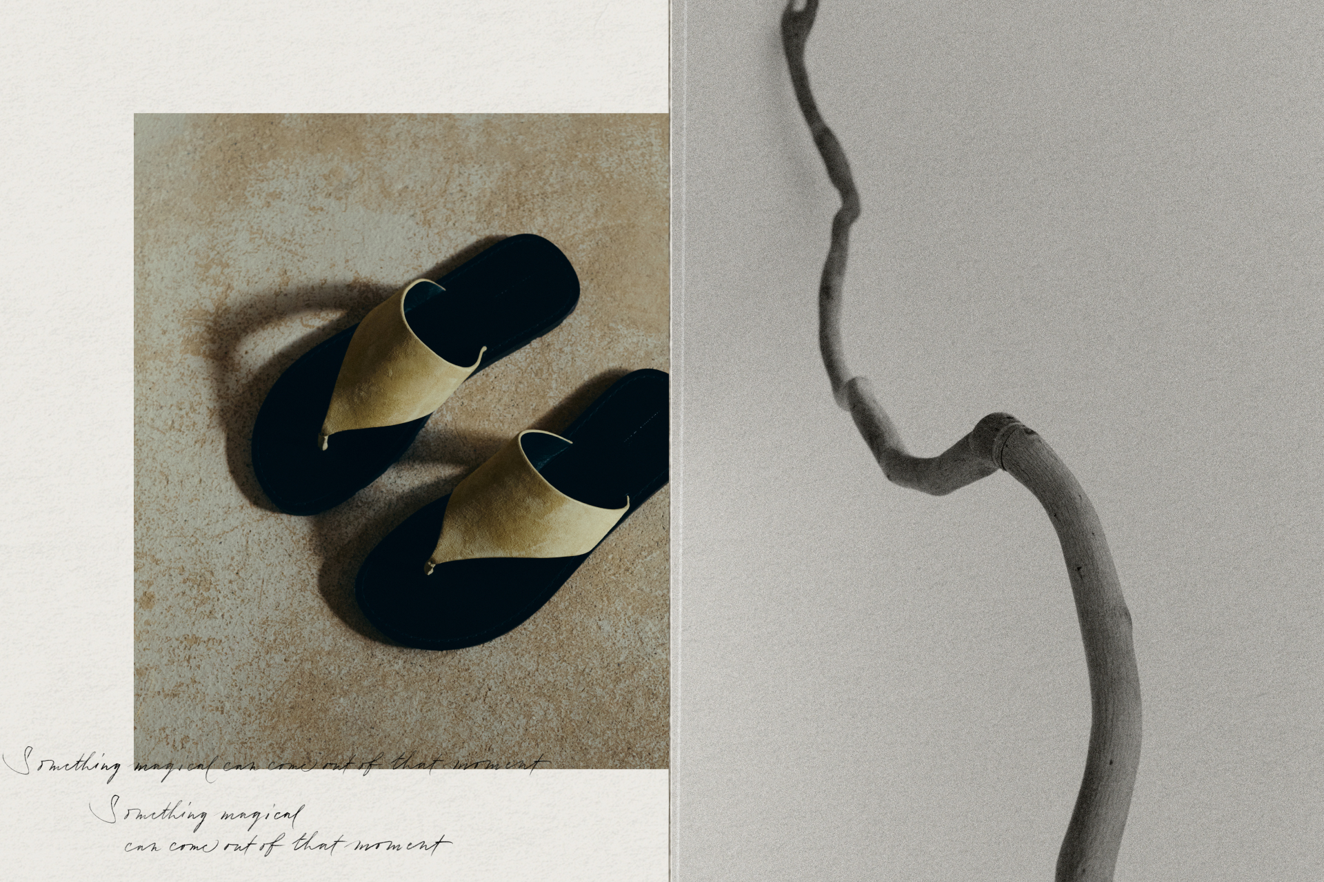 Paper | Massimo Dutti