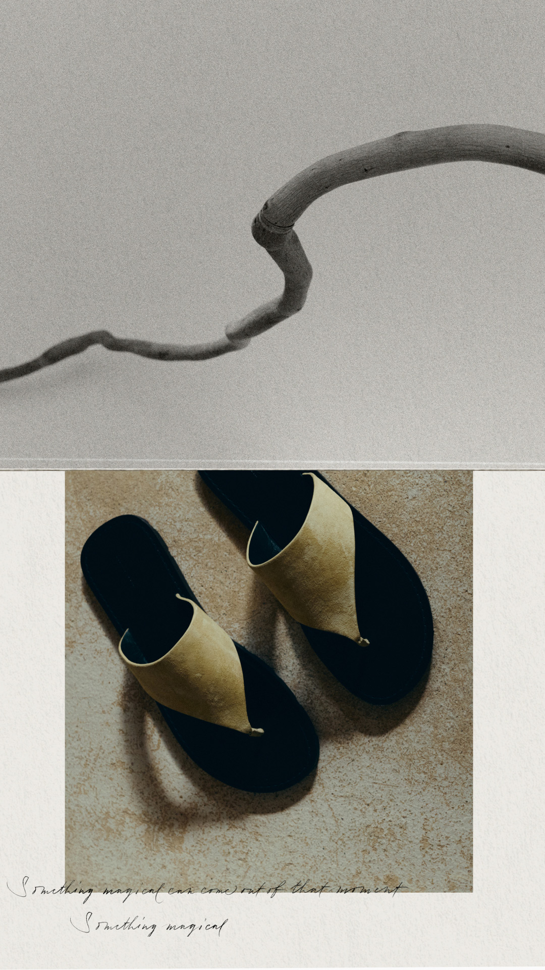 Paper | Massimo Dutti