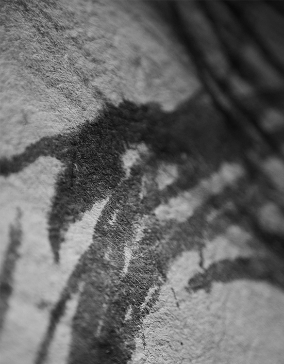 RF Studio detalle fibra tinta macro Salone Milán 2026