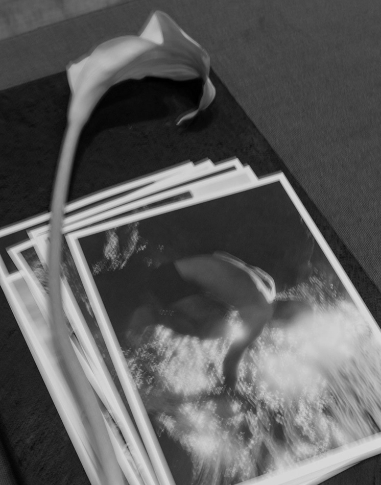 Black and white Apartamento editorial detail with flower on publication, Massimo Dutti Mallorca