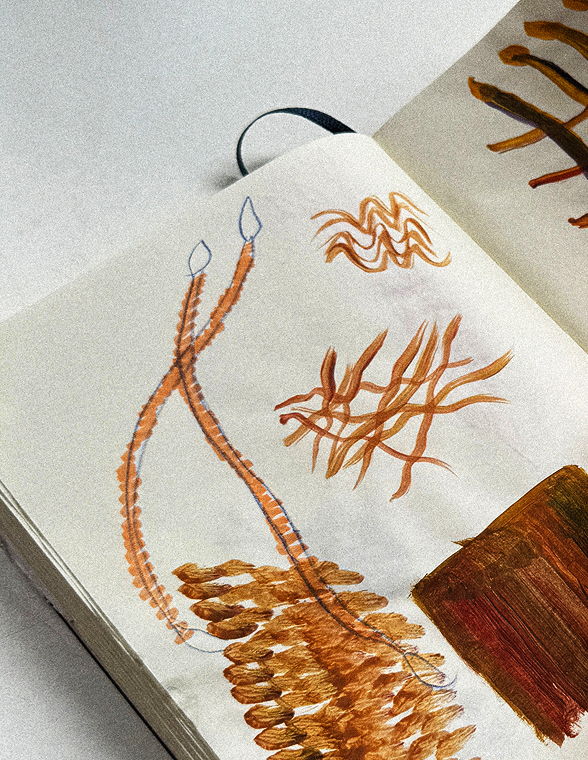 Research Notebook — Luz Moreno Pinart