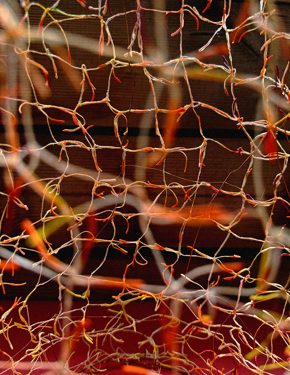 Detail of The Saffron Dance (2025), Luz Moreno Pinart