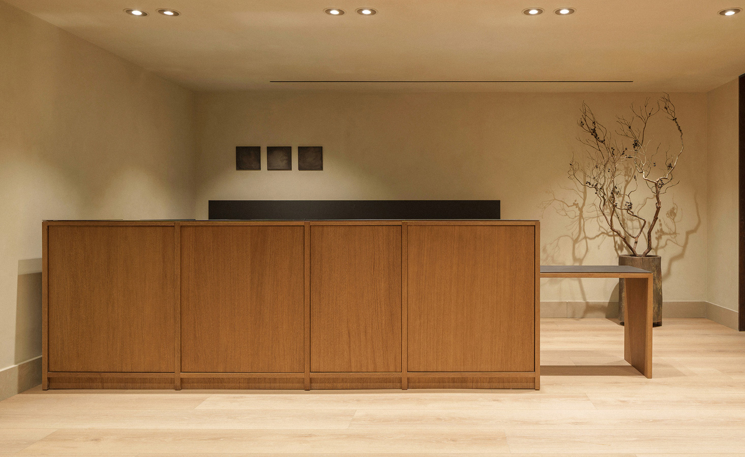 Mostrador — Massimo Dutti Lisboa
