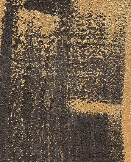 Detalle de Restrollo, 2025 — Álvaro Negro
