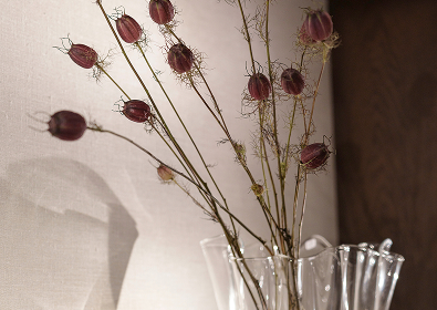 Detalle — Massimo Dutti Copenhague
