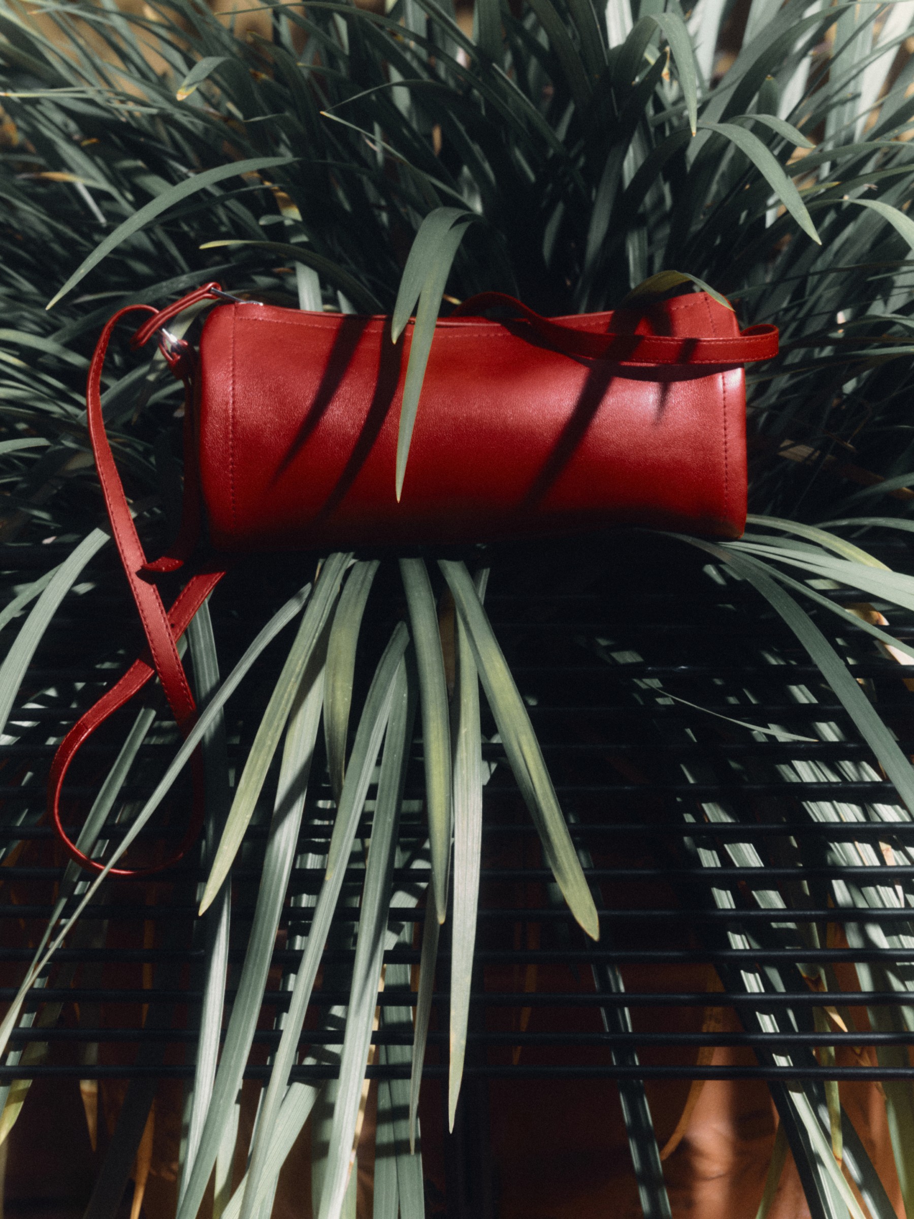 Red leather bag among palm leaves — Massimo Dutti