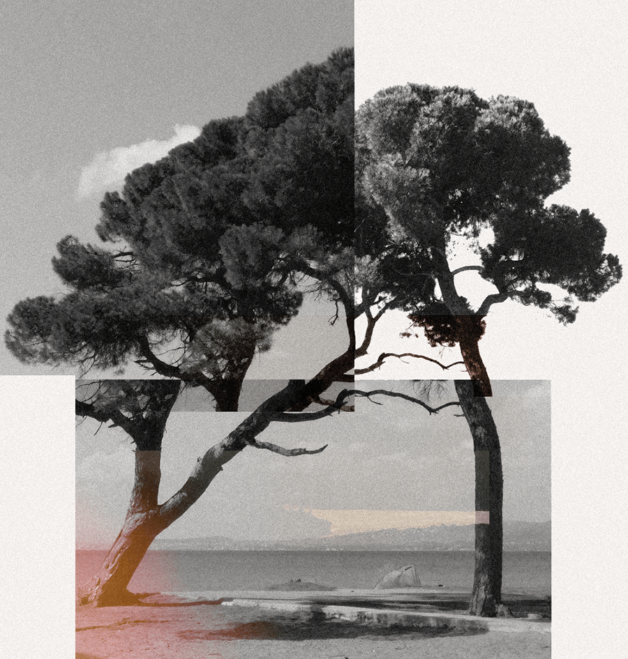 Saint-Tropez & Ramatuelle — The Mediterranean Grand Road Tour