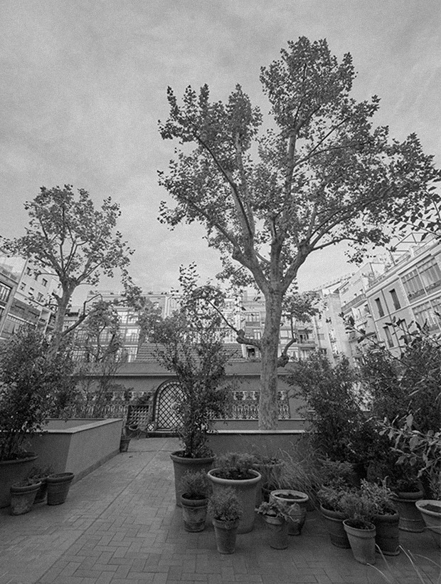 Restored Modernist courtyard at the Passeig de Gràcia 96 flagship, in black and white — Massimo Dutti Barcelona