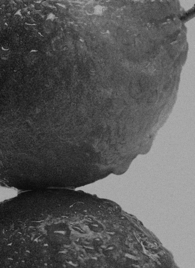 Citrus fruits in black and white with the notes of Vetiver & Bergamot — Massimo Dutti