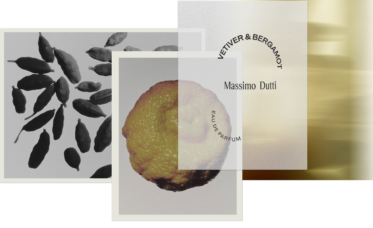 Composition of cardamom, bergamot and the Vetiver & Bergamot bottle — Massimo Dutti