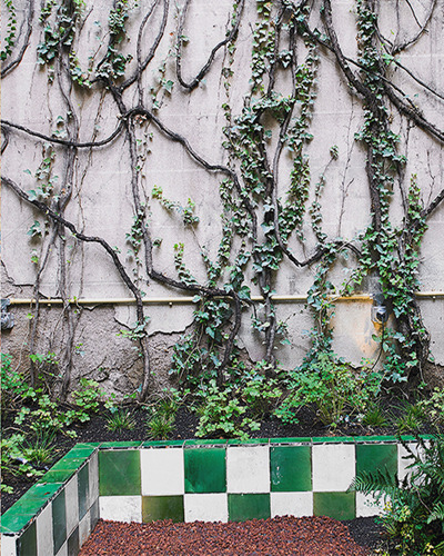 Wall with climbing plants and a green-and-white chequered ceramic planter — Massimo Dutti Barcelona