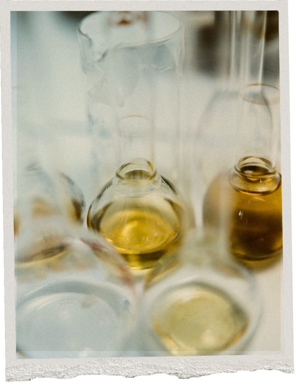 Polaroid of the Vetiver & Bergamot ingredients — Massimo Dutti