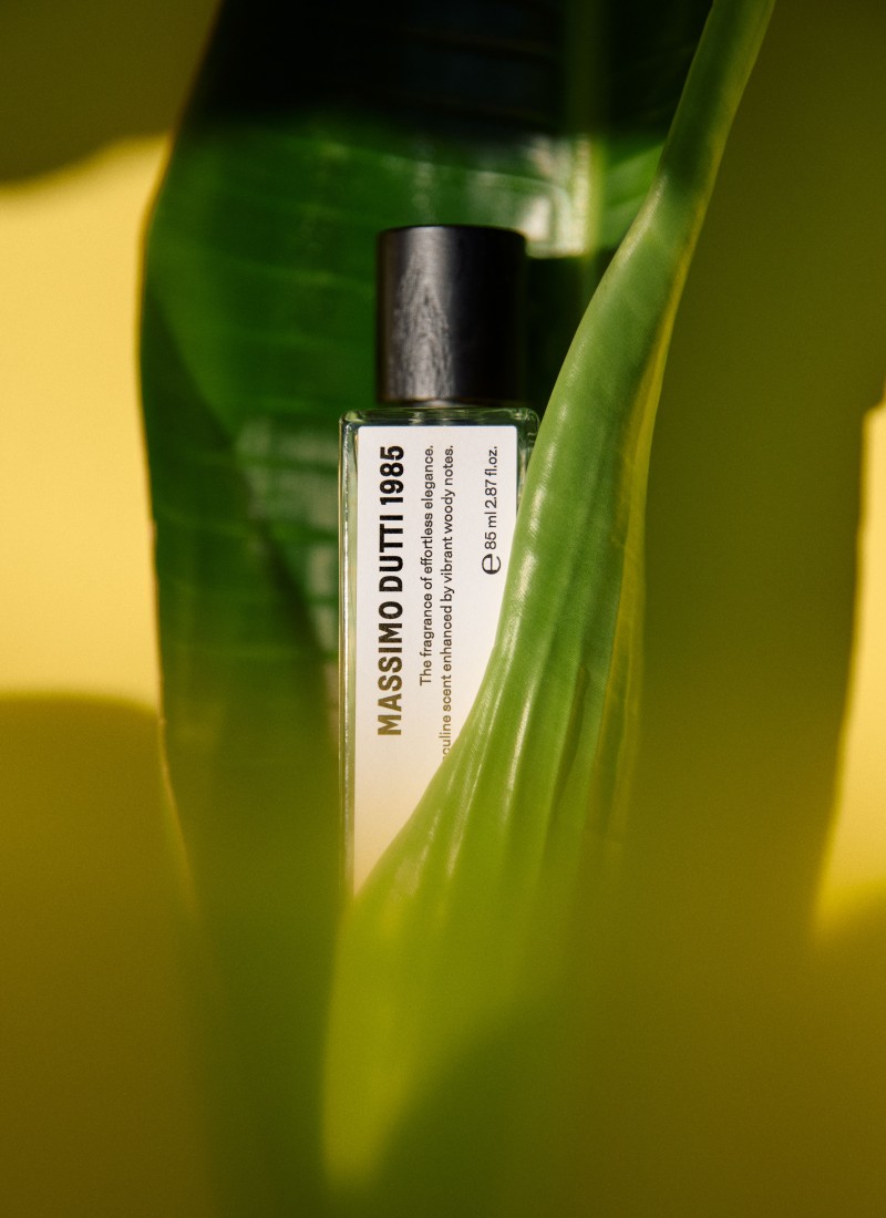 Massimo Dutti 1985 bottle among green leaves with golden light — Massimo Dutti