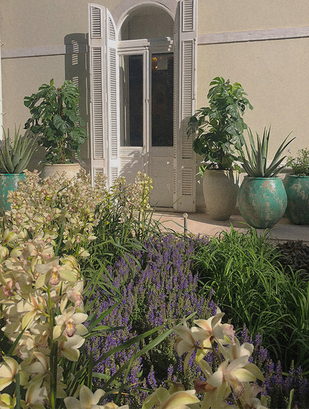 Façade of the historic residence with pots and lavender planting — Massimo Dutti Lisbon