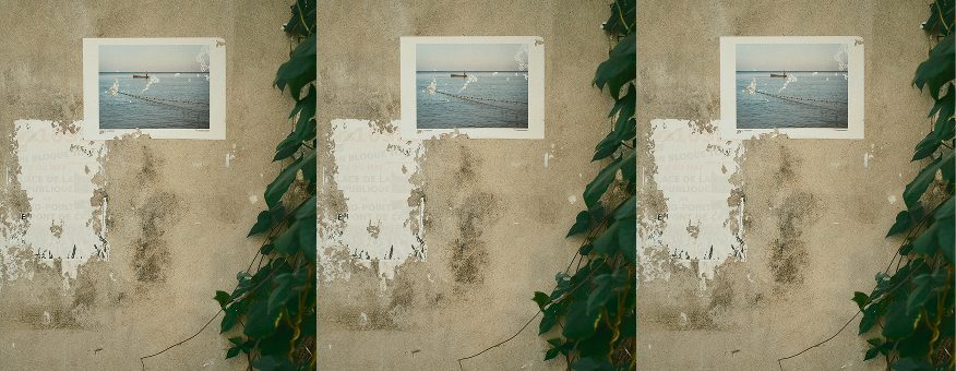 Three framed photographs on a wall with foliage — Arles