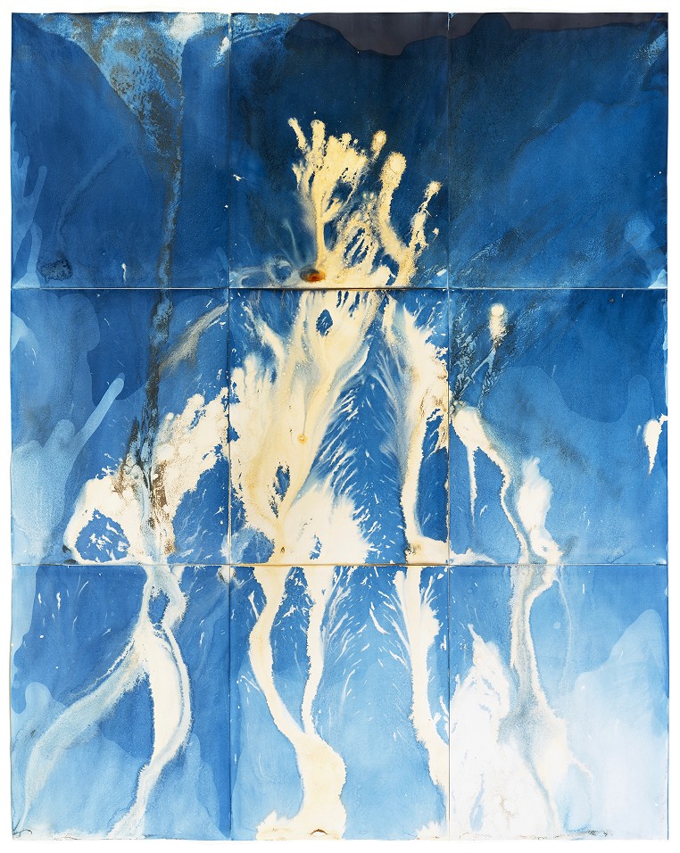 Blue and gold cyanotype from the State Shift series, work by Meghann Riepenhoff — Massimo Dutti