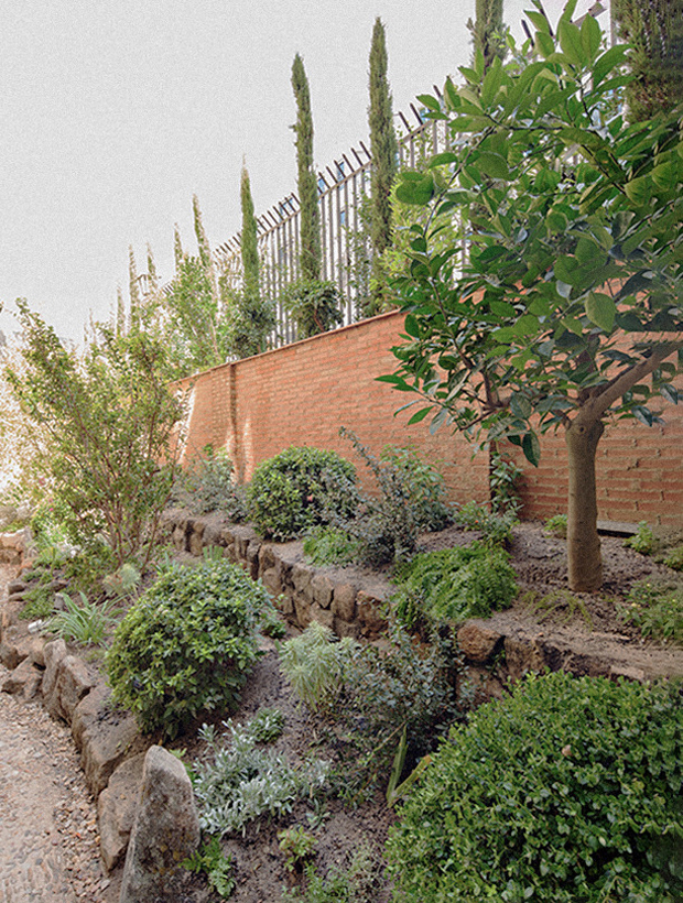 Romantic garden with cypresses and a brick wall, designed by Stefano Baccari — Massimo Dutti Madrid