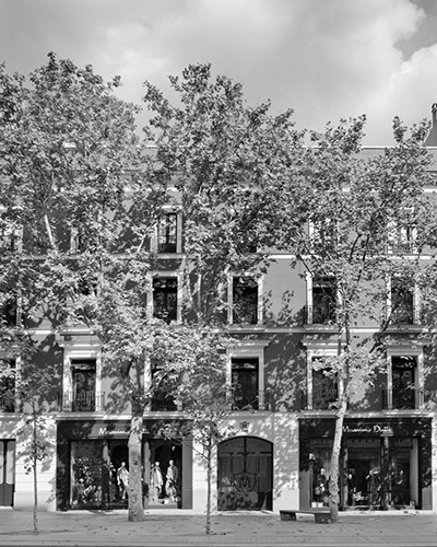 Façade of the Serrano 48 store among trees, in black and white — Massimo Dutti Madrid