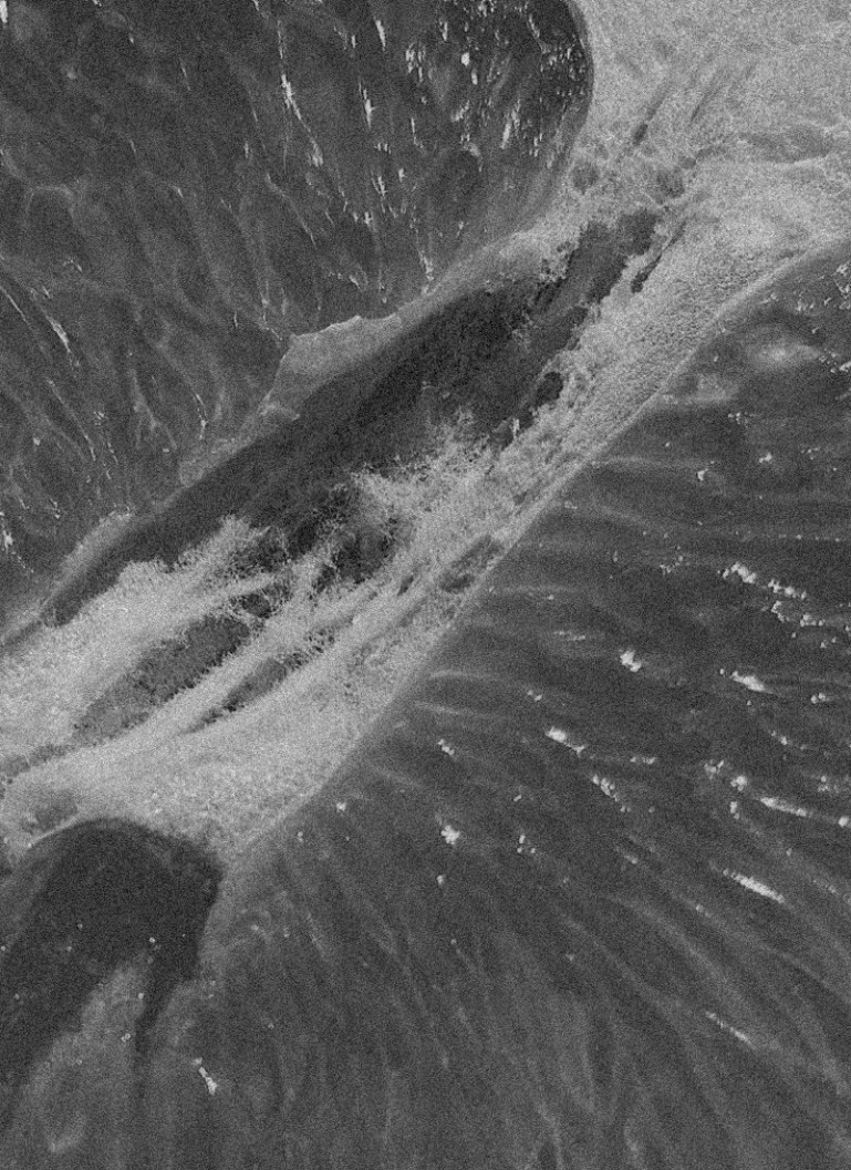 Macro texture of citrus fruits in black and white, Tangy Touch — Massimo Dutti