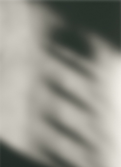 Blurred leaf shadows on a light background — White Evening, Massimo Dutti