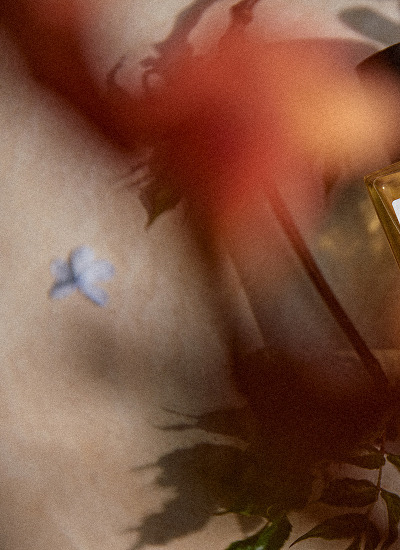 Blurred texture in golden tones with a blue flower — Massimo Dutti