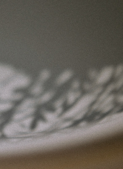 Shadow of foliage against a grey background, in black and white — Massimo Dutti