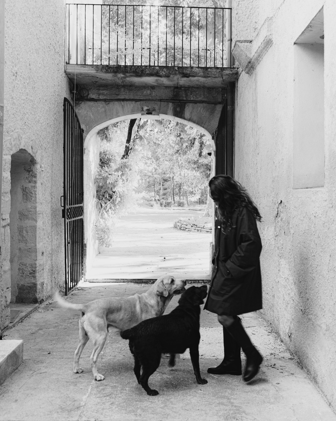 Woman in a black coat with two dogs under a stone arch — Massimo Dutti Fall Treasures