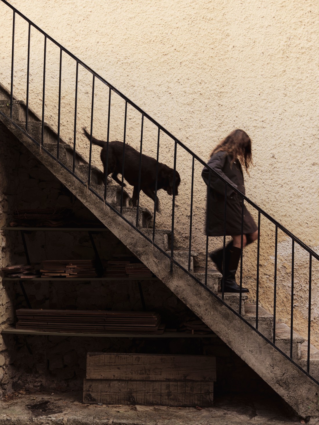 Woman climbing an outdoor staircase followed by a dog — Massimo Dutti Fall Treasures