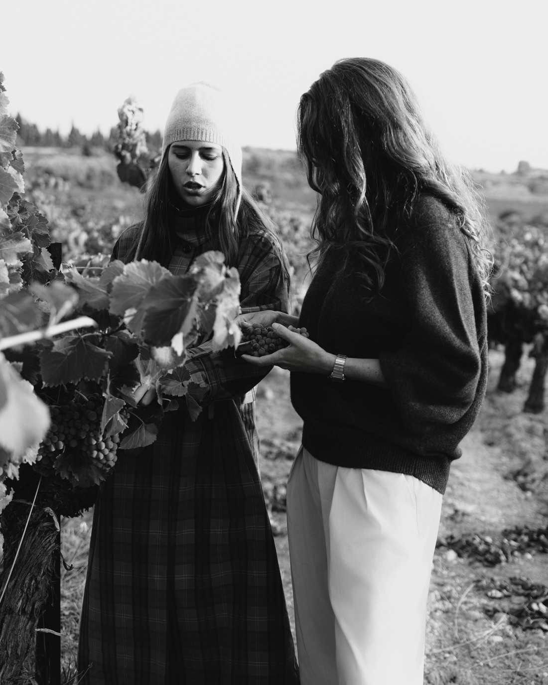Two women picking grapes in a vineyard, in black and white — Massimo Dutti Fall Treasures
