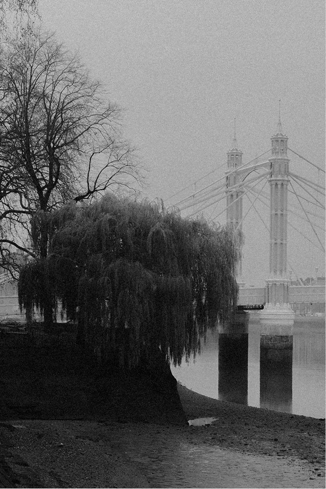 A willow over the Thames with Albert Bridge behind, in black and white — Massimo Dutti London Fashion Week