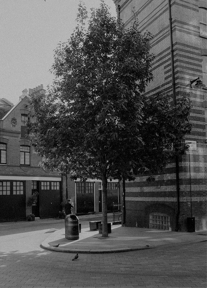 Tree and garden at Arnold Circus, Boundary Estate — Massimo Dutti London Fashion Week