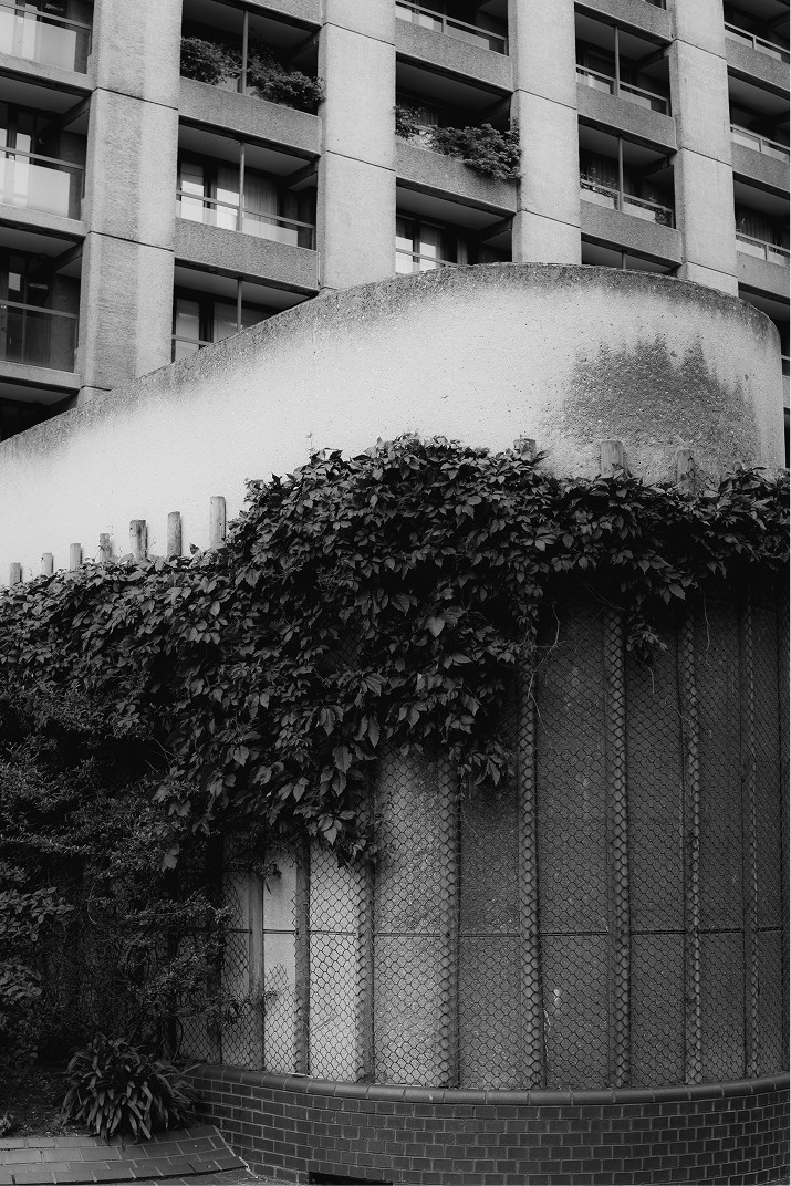 Ivy-covered wall beneath the Barbican towers — Massimo Dutti London Fashion Week