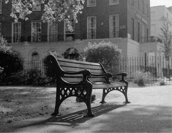 Bench in a Chelsea garden square, in black and white — Massimo Dutti London Fashion Week