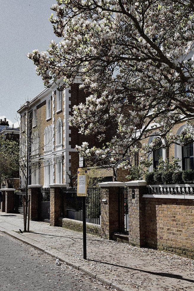 Tree-lined street with brick houses in Chelsea — Massimo Dutti London Fashion Week