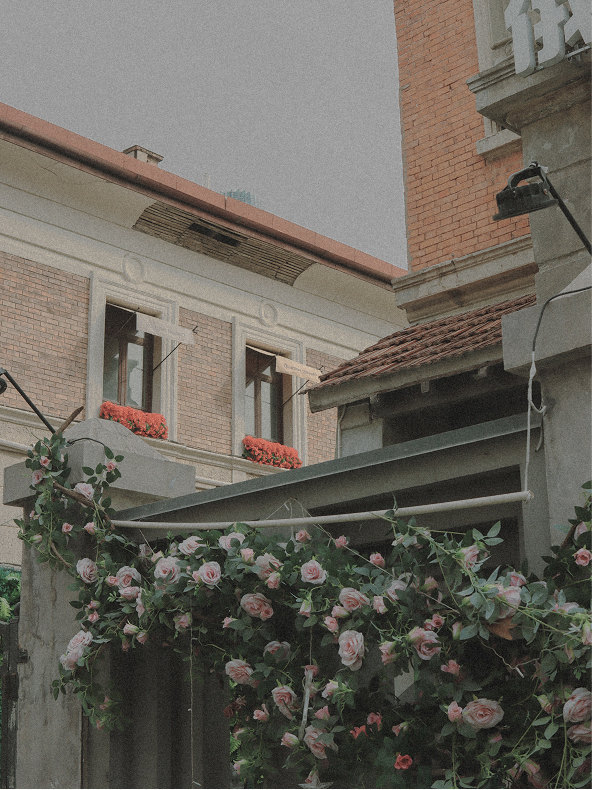 Façade with climbing roses in bloom on Via Fiori Chiari — Massimo Dutti Milan Fashion Week