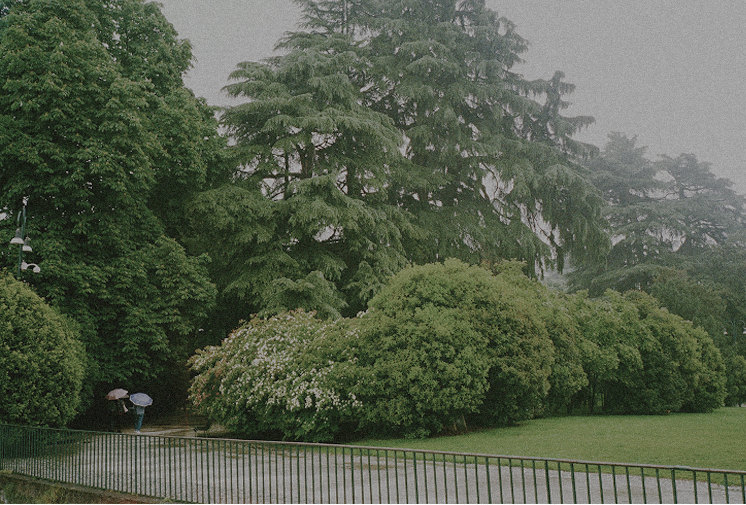 Greenery and cedars in the Giardini Indro Montanelli — Massimo Dutti Milan Fashion Week